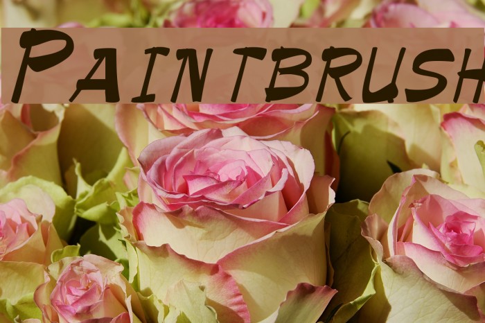 Paintbrush Example 1