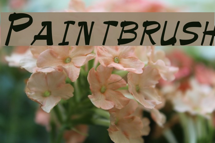 Paintbrush Example 2