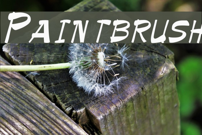 Paintbrush Example 3