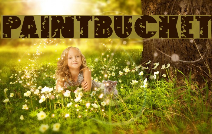 Paintbucket Font examples