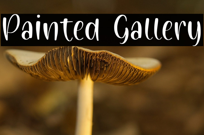 Painted Gallery Example 1