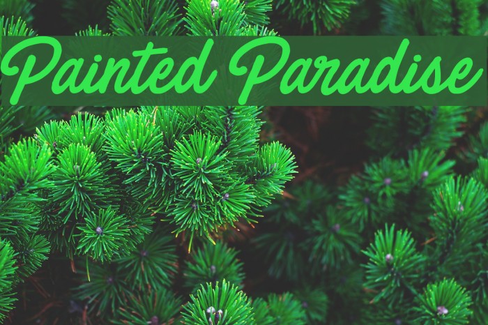 Painted Paradise Fuentes examples