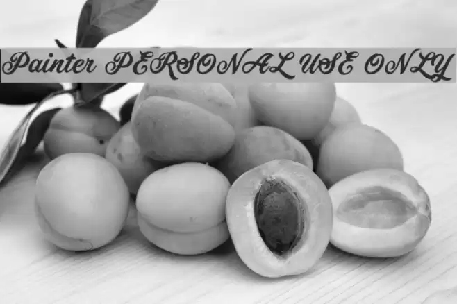 Painter PERSONAL USE ONLY Font examples