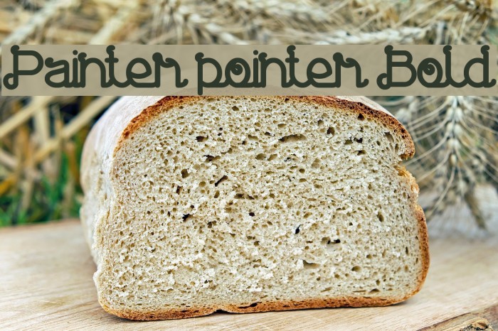 Painter pointer Bold Font examples