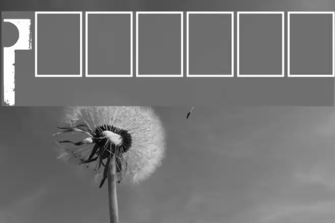 Painter Font examples