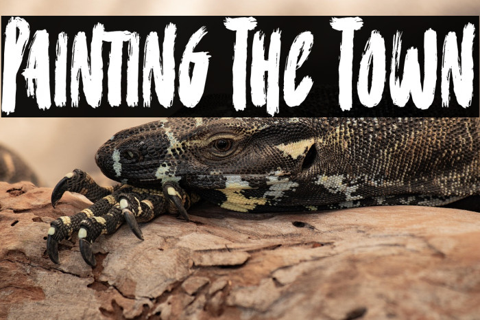 Painting The Town Example 3