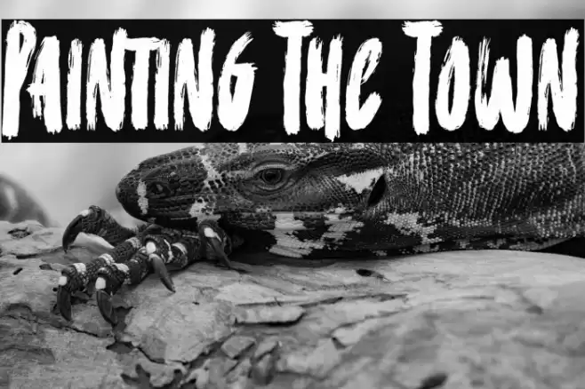 Painting The Town Font examples