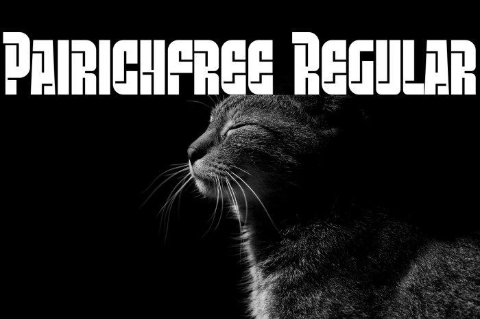 Pairich-free Regular Example 1