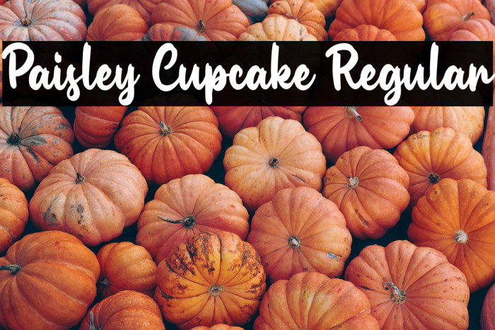 Paisley Cupcake Regular Example 1
