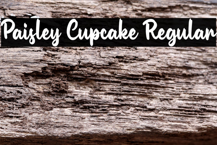 Paisley Cupcake Regular Example 2