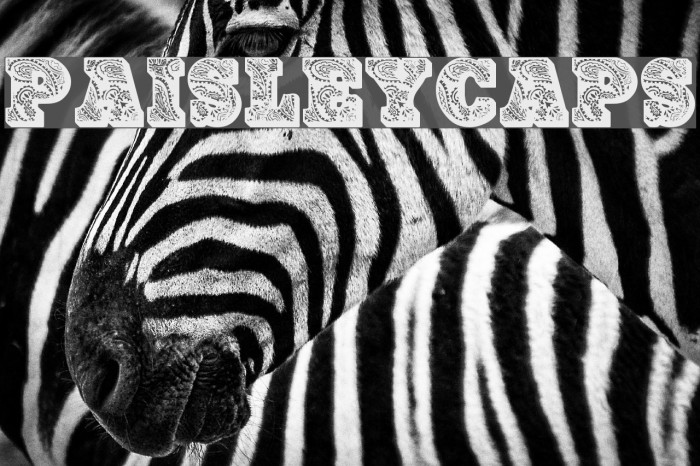 PaisleyCaps Font examples