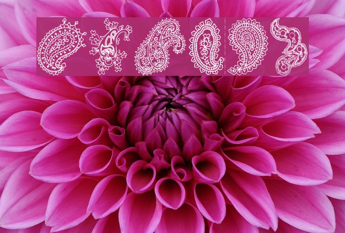 Paisley Font examples
