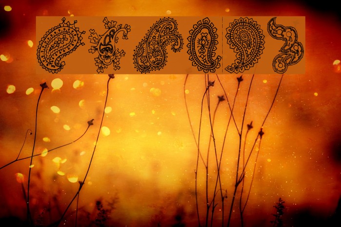 Paisley Font examples