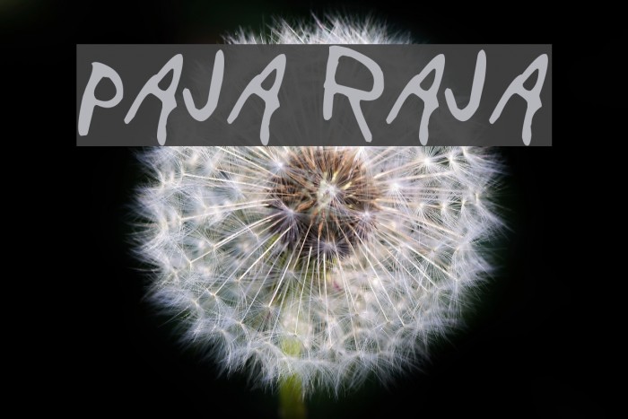 Paja Raja Example 1
