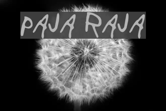 Paja Raja Font examples