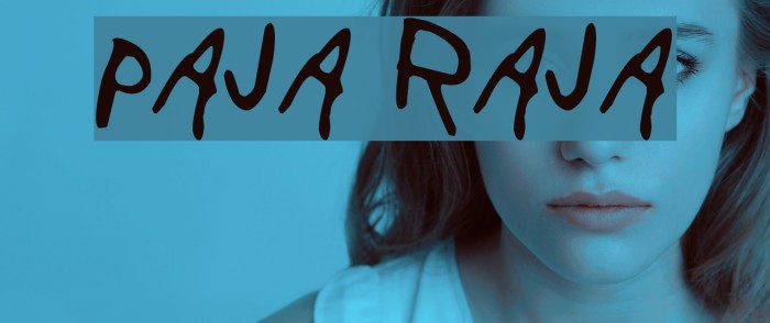Paja Raja Example 3
