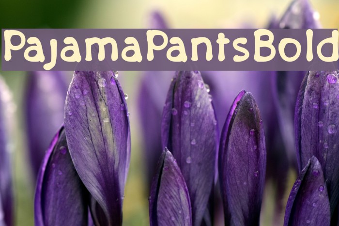 PajamaPantsBold Font examples