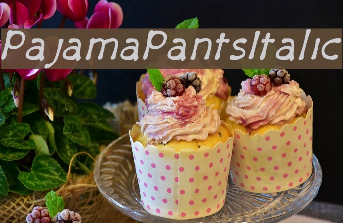 PajamaPantsItalic Font examples