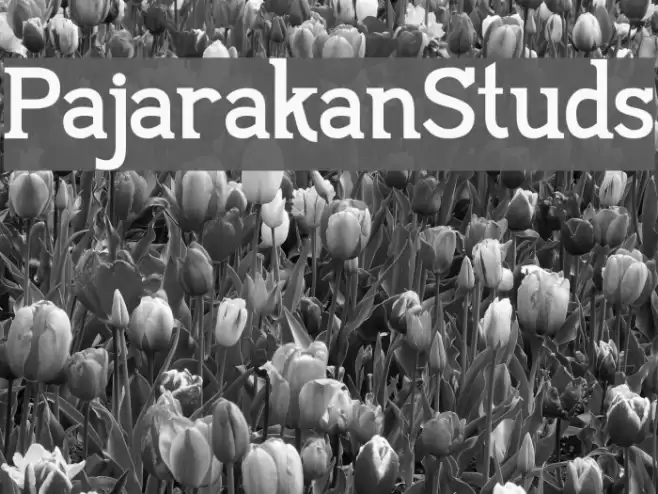 PajarakanStuds Font examples