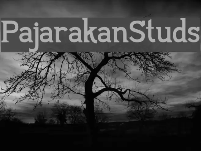 PajarakanStuds Font examples