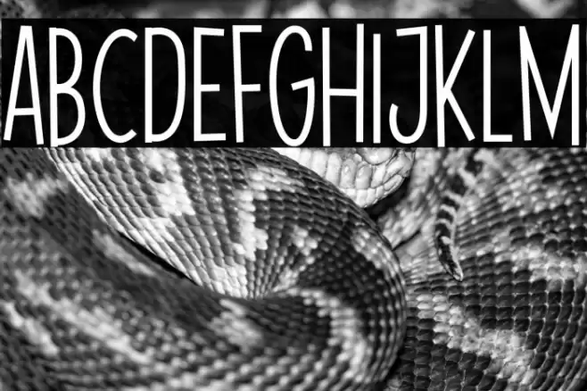 Pak Kumis Font examples