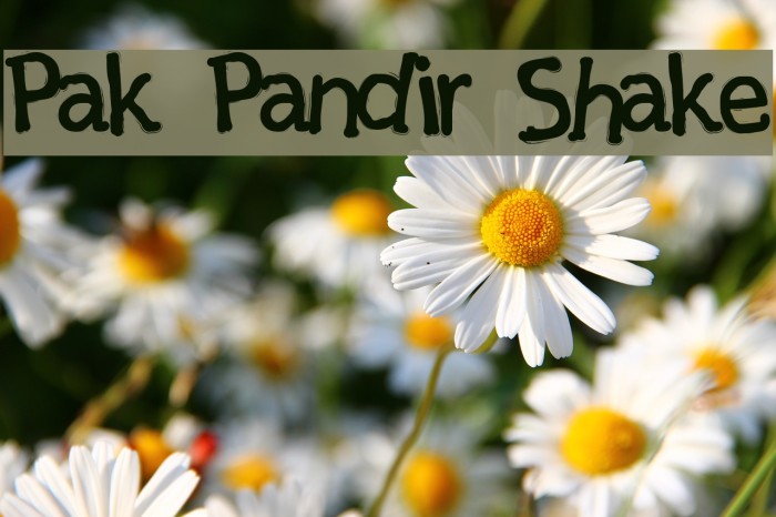 Pak Pandir Shake Example 1