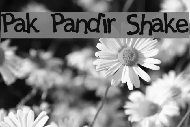 Pak Pandir Shake Font examples