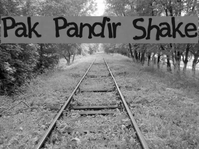 Pak Pandir Shake Font examples