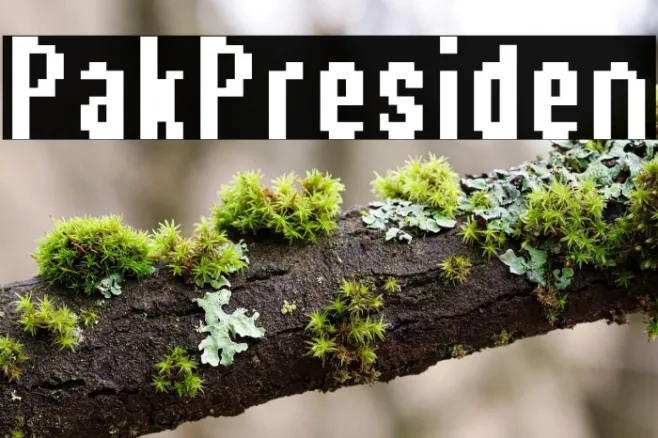 Pak Presiden Example 1