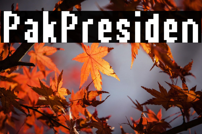 Pak Presiden Example 2