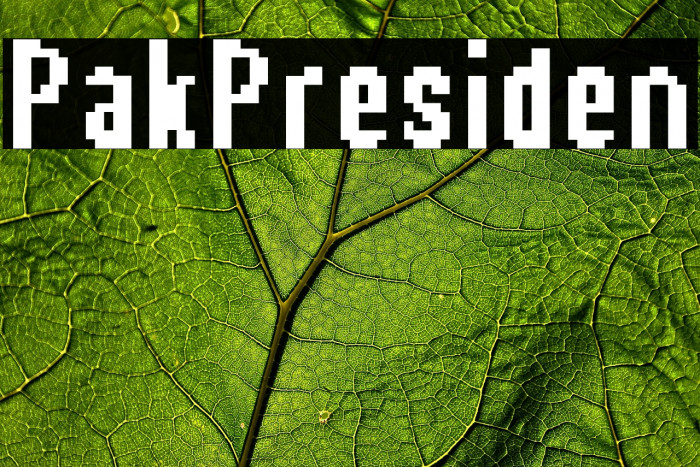 Pak Presiden Example 3