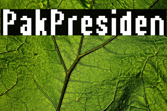 Pak Presiden Example 3