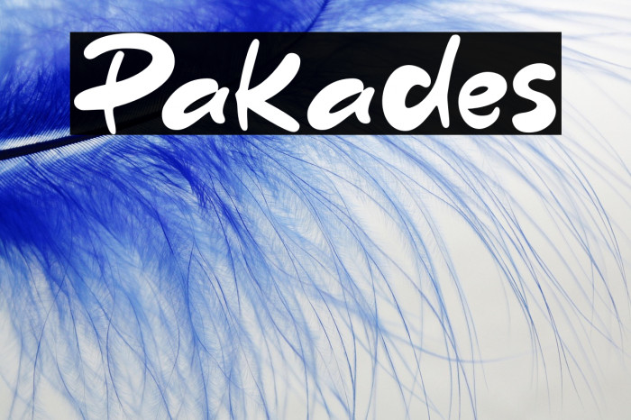 Pakades Example 3