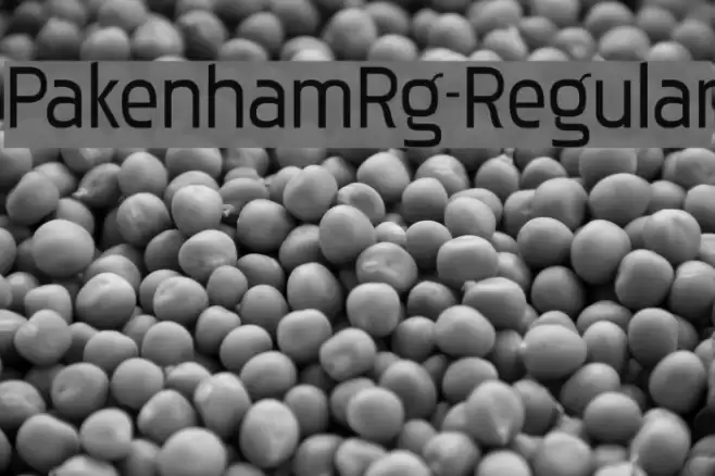 PakenhamRg-Regular Font examples