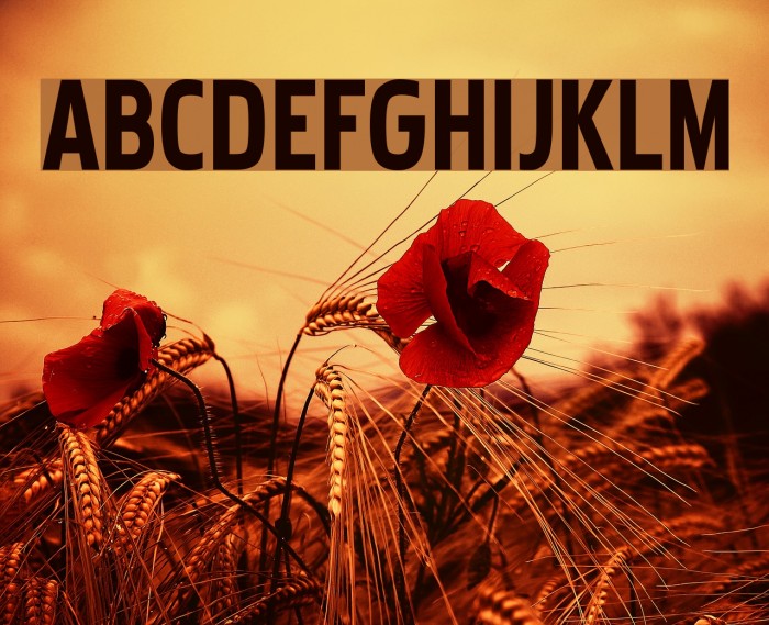 Pakenham Font examples
