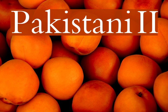 Pakistani II Font examples