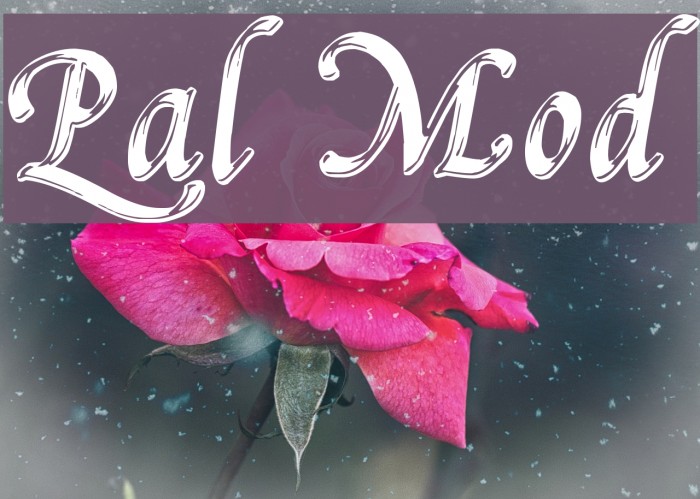 Pal Mod Font examples
