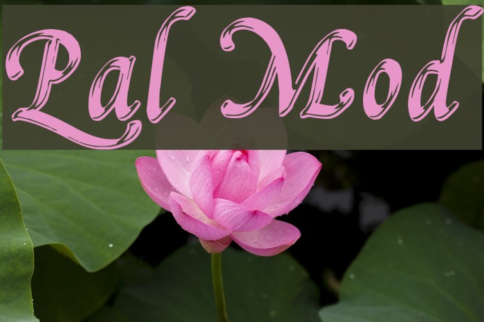 Pal Mod Font examples