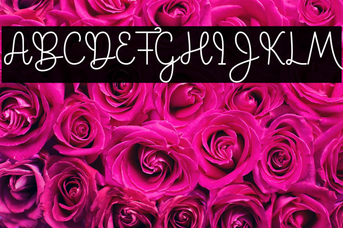 Palace Star Example 3