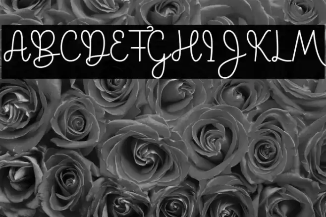 Palace Star Font examples