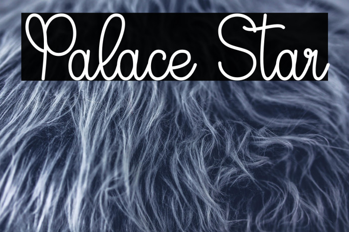 Palace Star Example 2