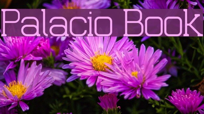 Palacio Book Font examples