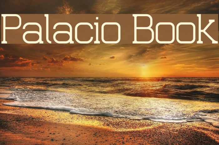 Palacio Book Font examples