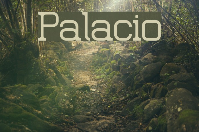 Palacio Font examples