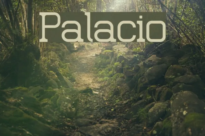 Palacio Example 1