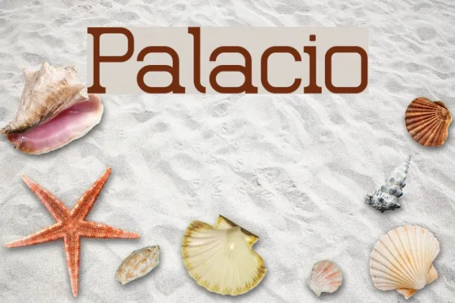 Palacio Example 2