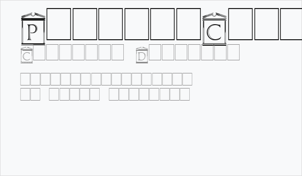 PaladinCapitals Business Card