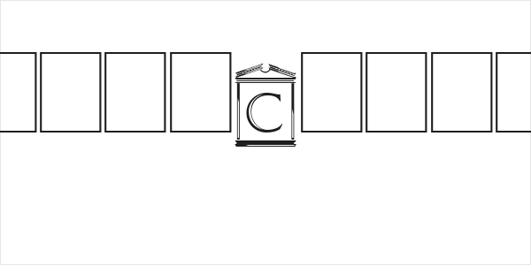 PaladinCapitals Logo