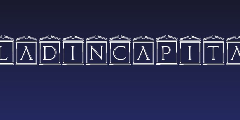 PaladinCapitals Social Header