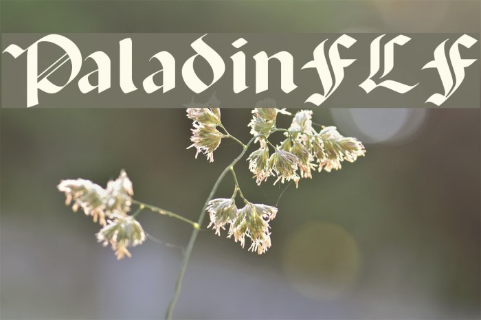 PaladinFLF Font examples